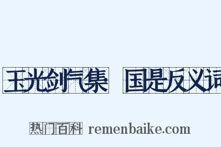 玉光剑气集·国是反义词是什么意思的图片